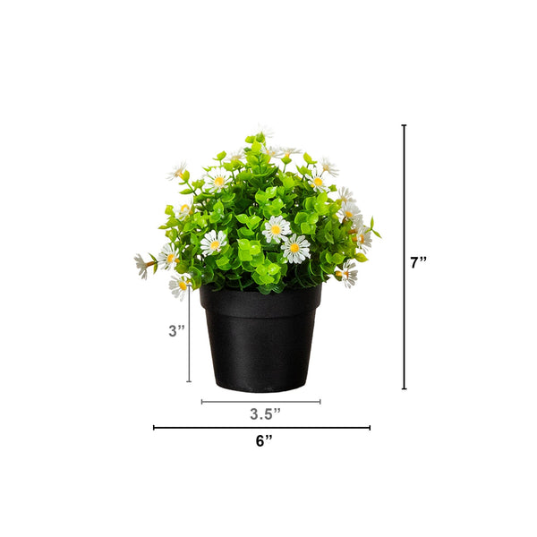 7" Artificial Daisy Plant in Black Pot - Set of 3