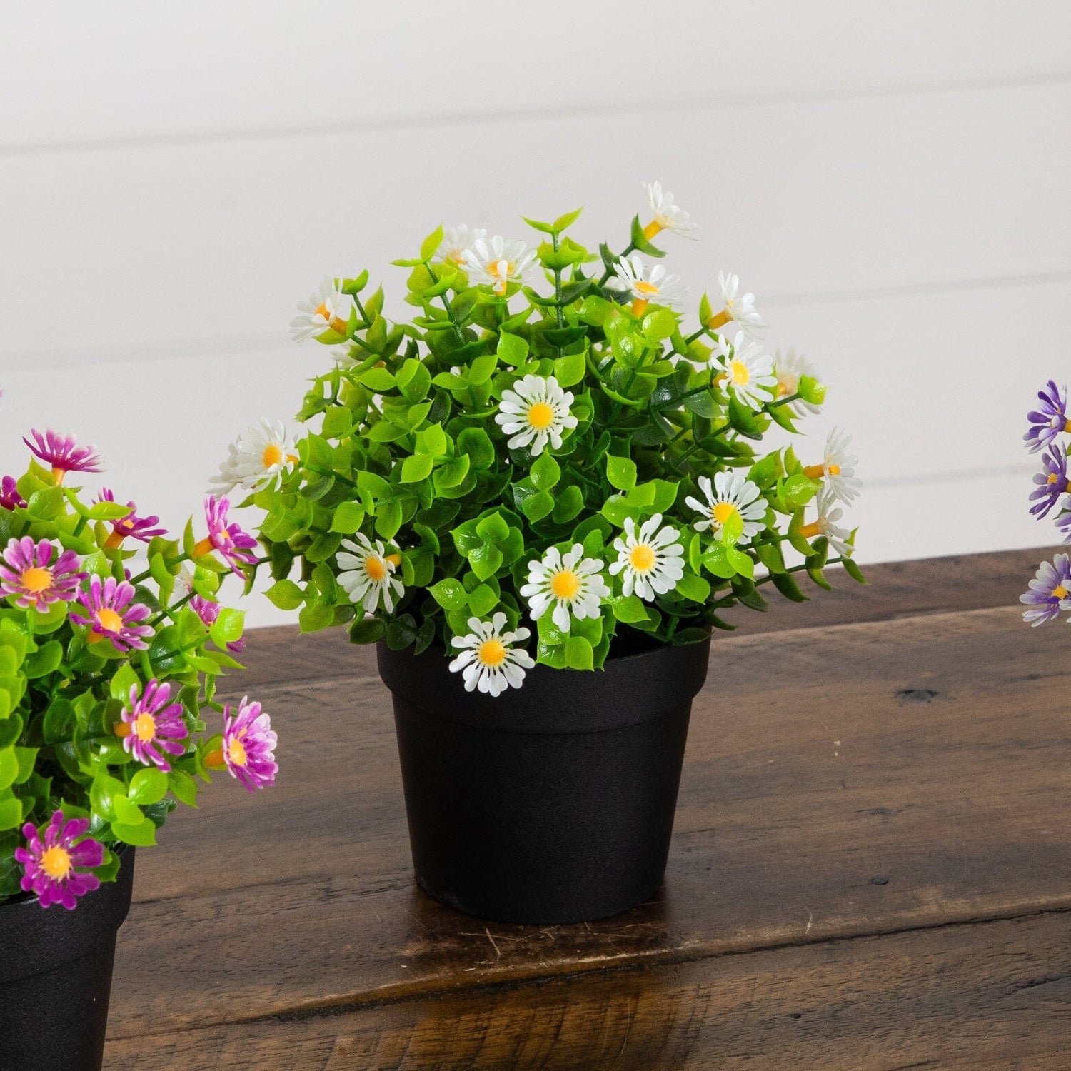 7" Artificial Daisy Plant in Black Pot - Set of 3