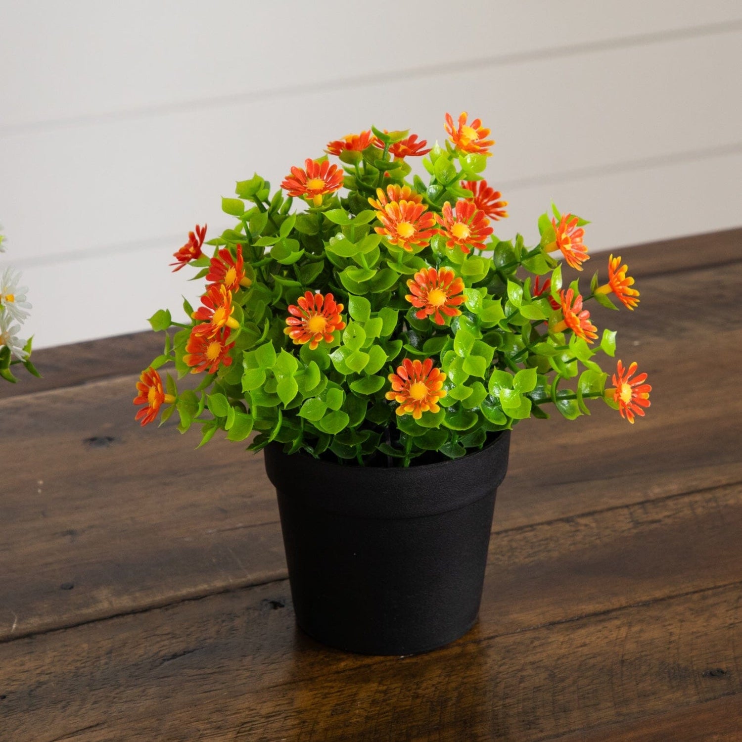 7" Artificial Daisy Plant in Black Pot - Set of 3