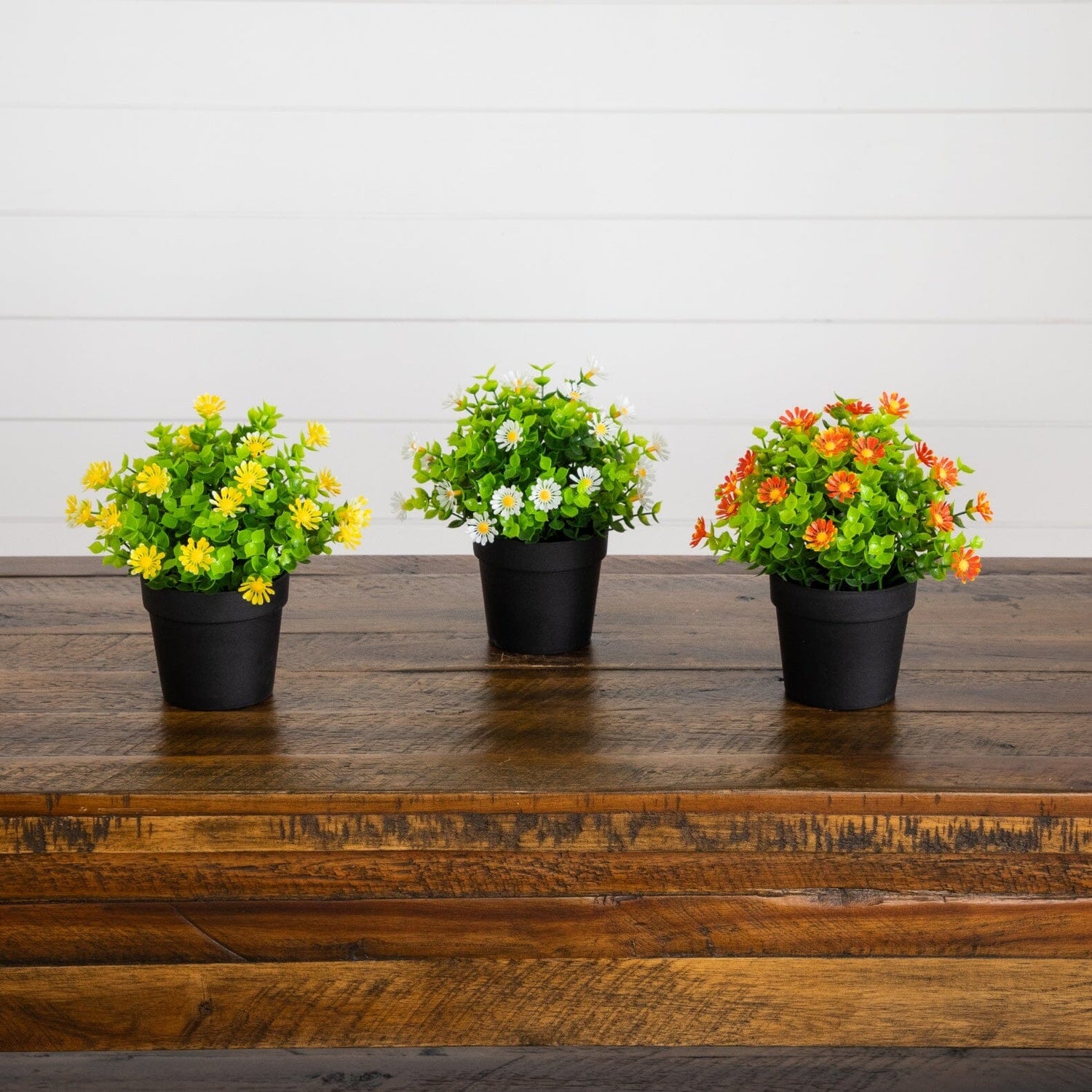 7" Artificial Daisy Plant in Black Pot - Set of 3