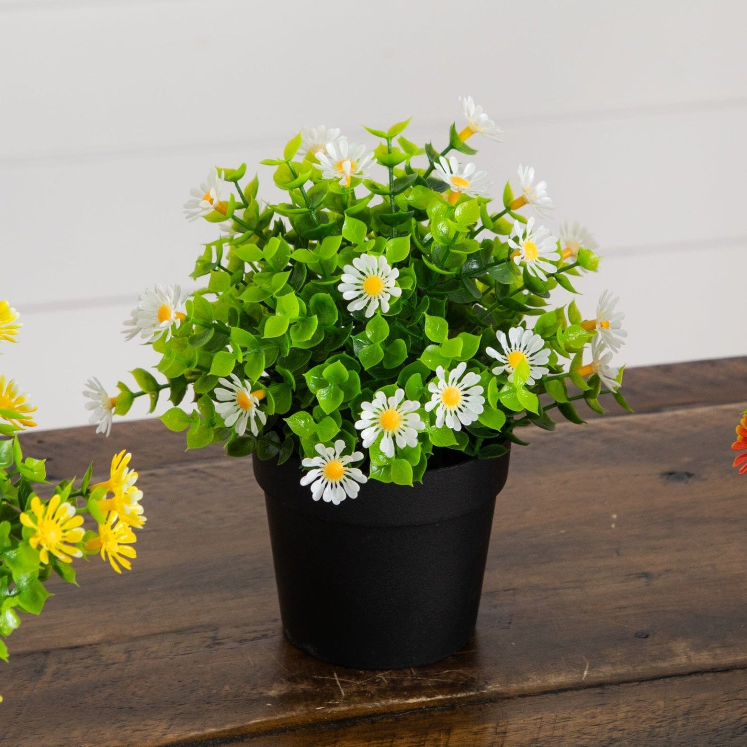 7" Artificial Daisy Plant in Black Pot - Set of 3
