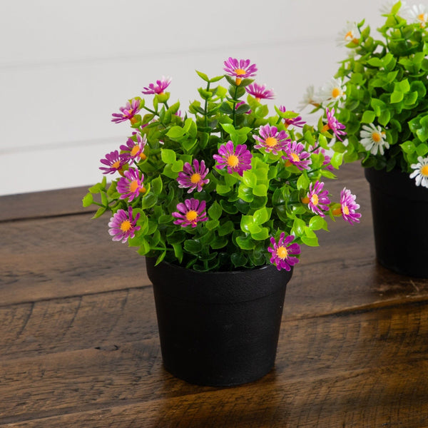 7" Artificial Daisy Plant in Black Pot - Set of 3