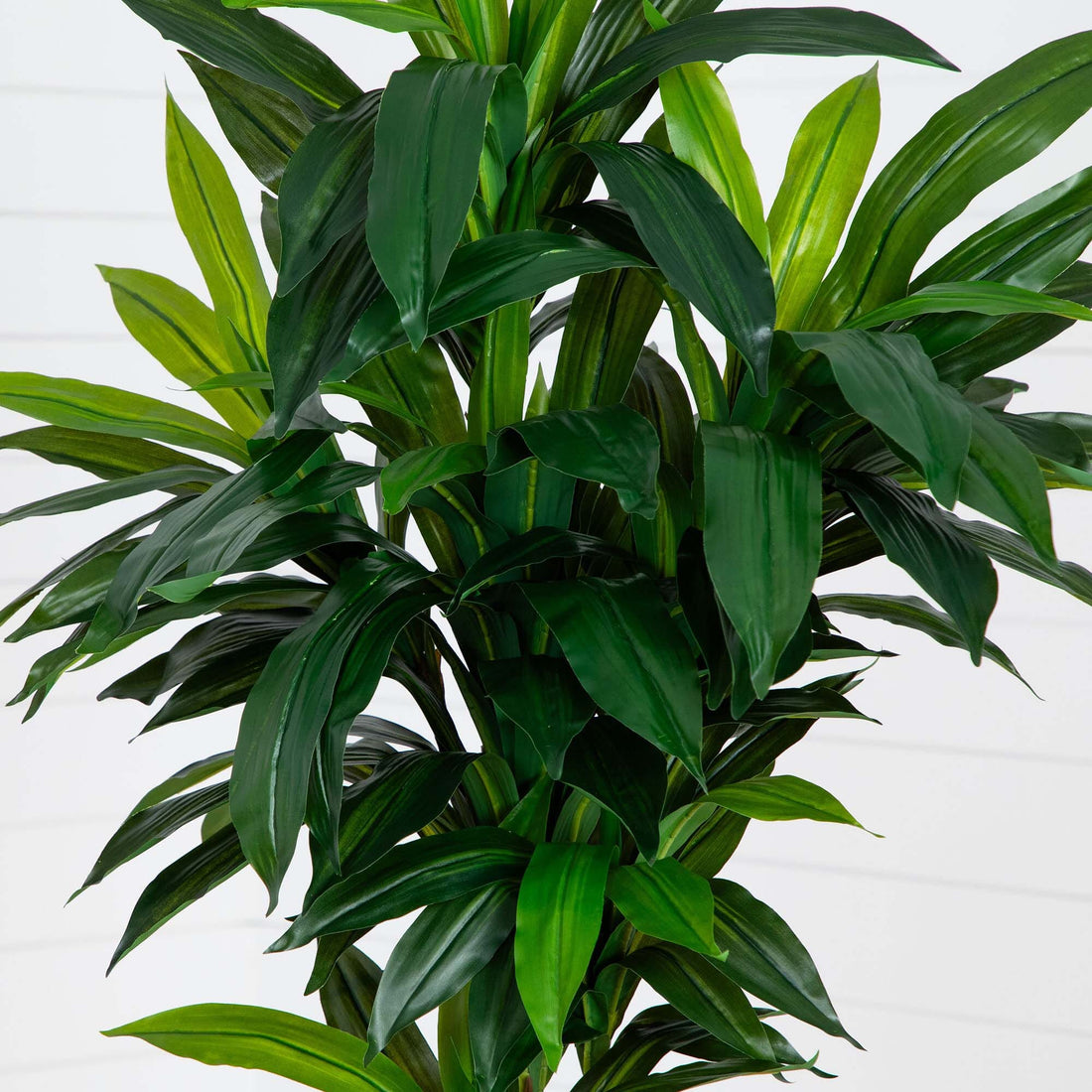 dracaena fragrans trees Nearly Natural 7ft. Artificial Dracaena Tree with Real Touch Leaves