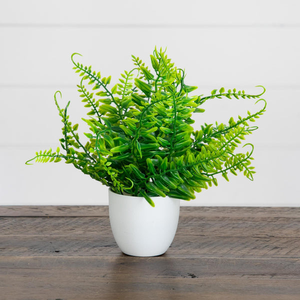 7” Artificial Fern in White Round Pot - Set of 3