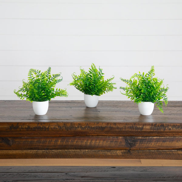 7” Artificial Fern in White Round Pot - Set of 3