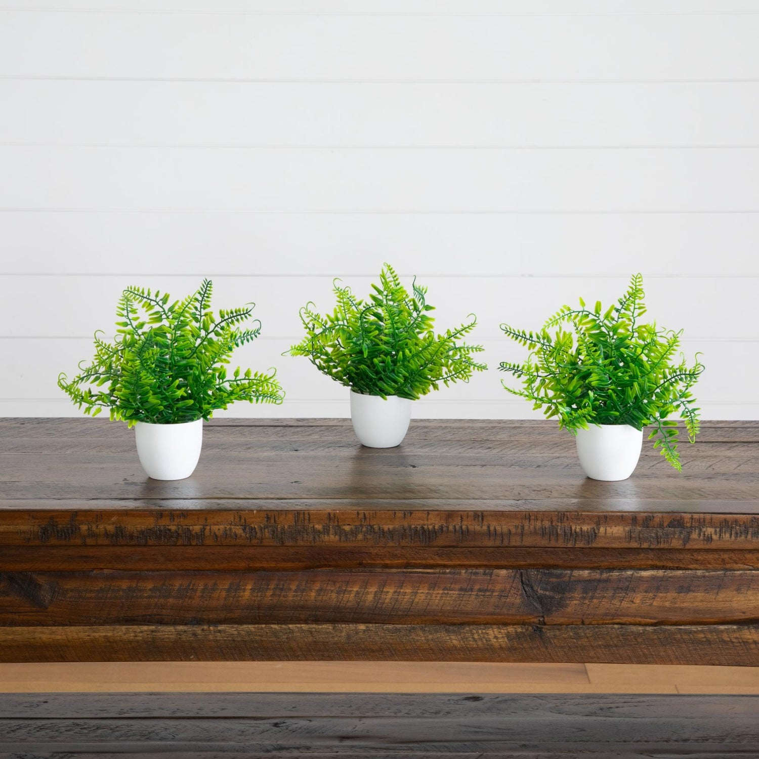 7” Artificial Fern in White Round Pot - Set of 3