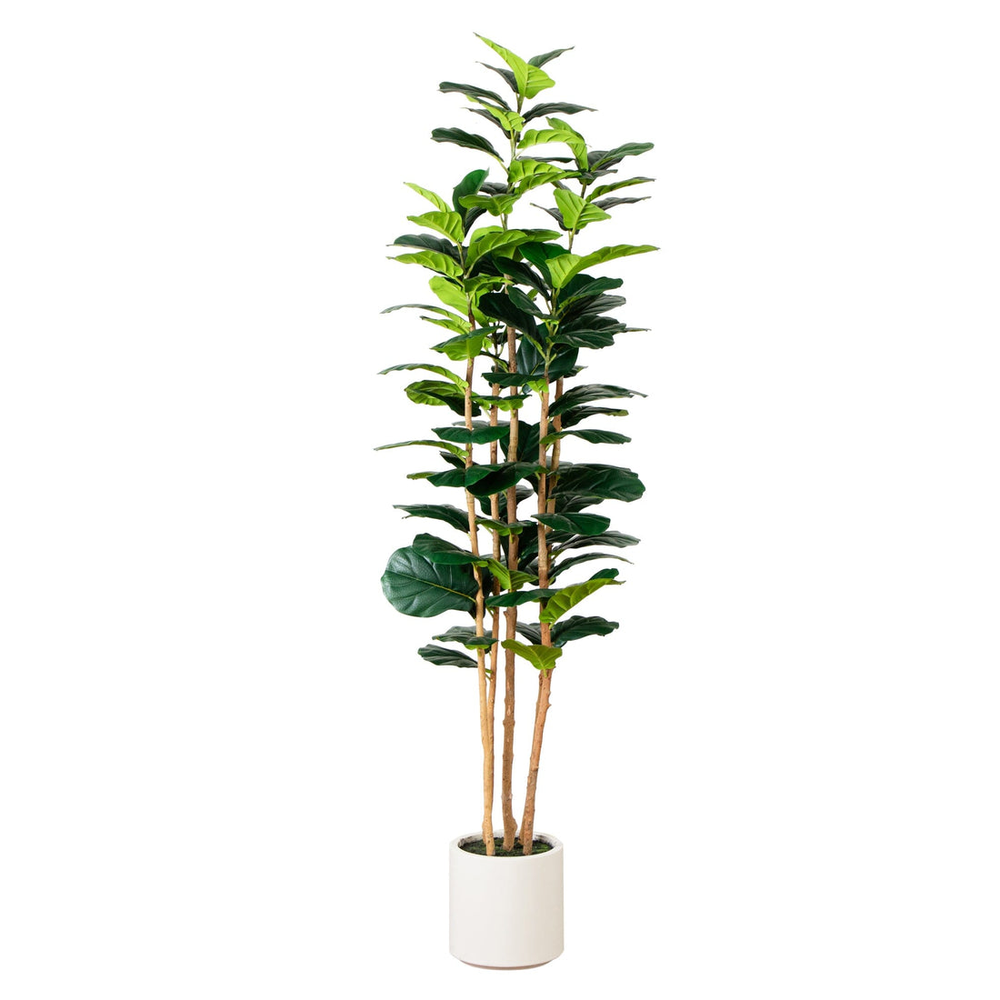 pot plants with 7 leaves 7' Artificial Fiddle Leaf Tree in Decorative White Planter