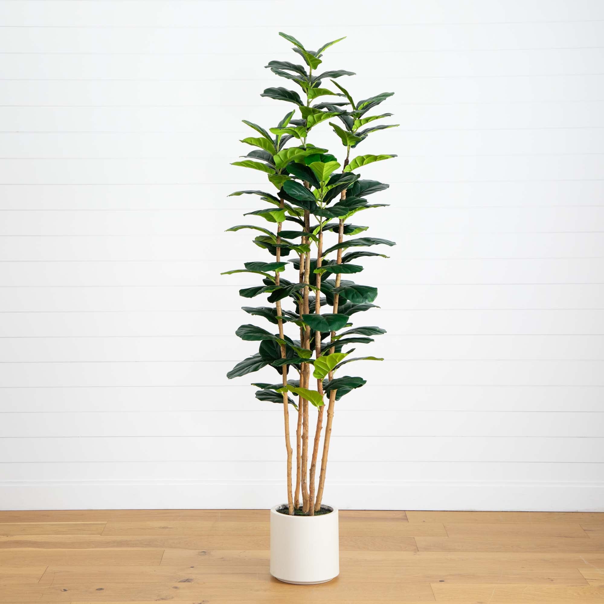 植栽 artificial-7-artificial-fiddle