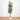 7’ Artificial Fiddle Leaf Tree in Decorative White Planter