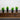 7” Artificial Grass Plant in Black Square Pot - Set of 4