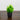 7” Artificial Grass Plant in Black Square Pot - Set of 4