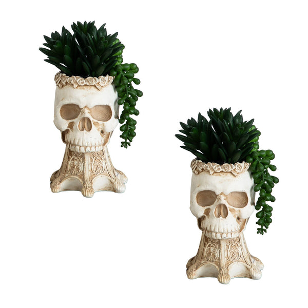 7” Artificial Halloween Succulent Garden in Skull Planter - Set of 2