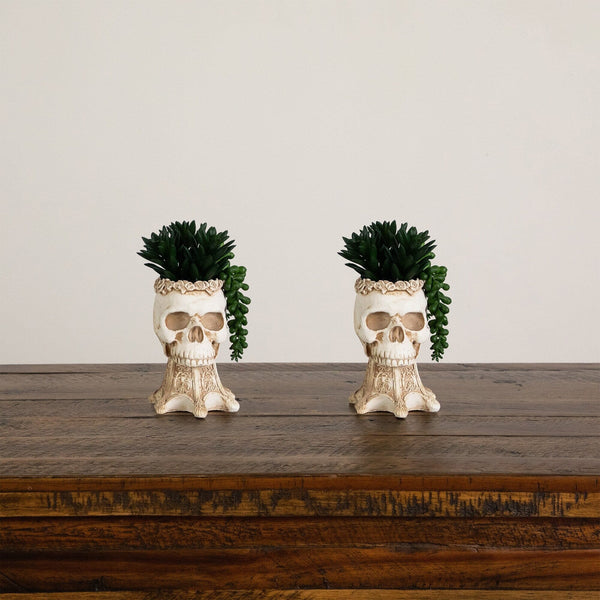 7” Artificial Halloween Succulent Garden in Skull Planter - Set of 2