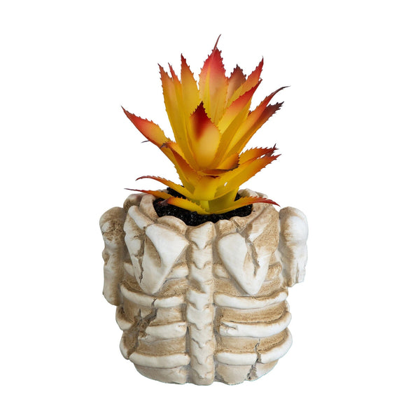 7” Artificial Halloween Succulent Plant in Skeleton Planter