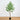 7' Artificial Long Leaf Greco Eucalyptus Tree with Real Touch Leaves