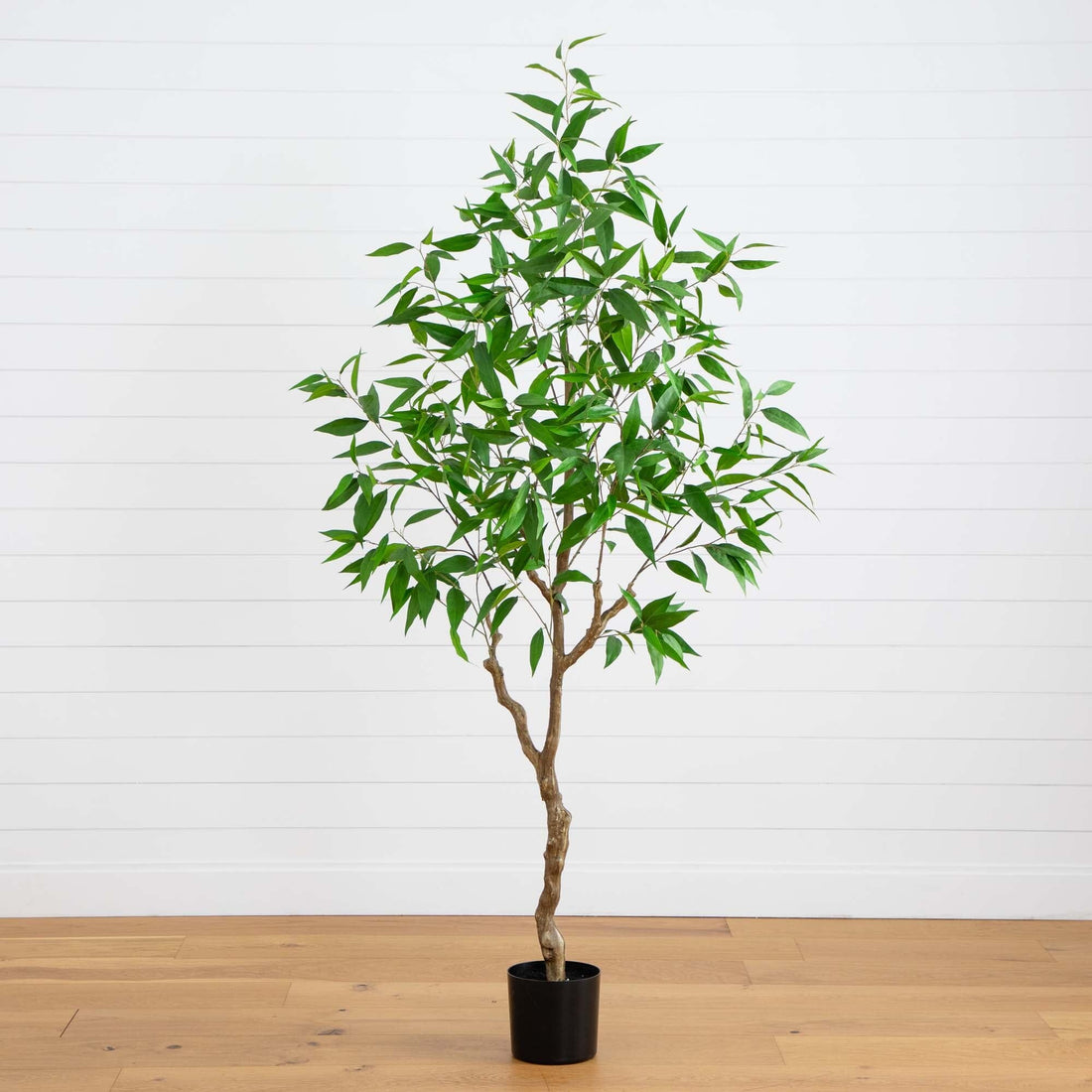 eucalyptus tree indoor plant 7' Artificial Long Leaf Greco Eucalyptus Tree with Real Touch Leaves