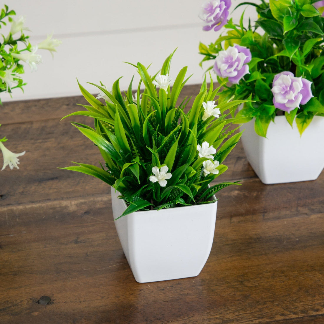 potted plants indoor ZZ Plant - Large (2-3' tall) Cement Grey Planter