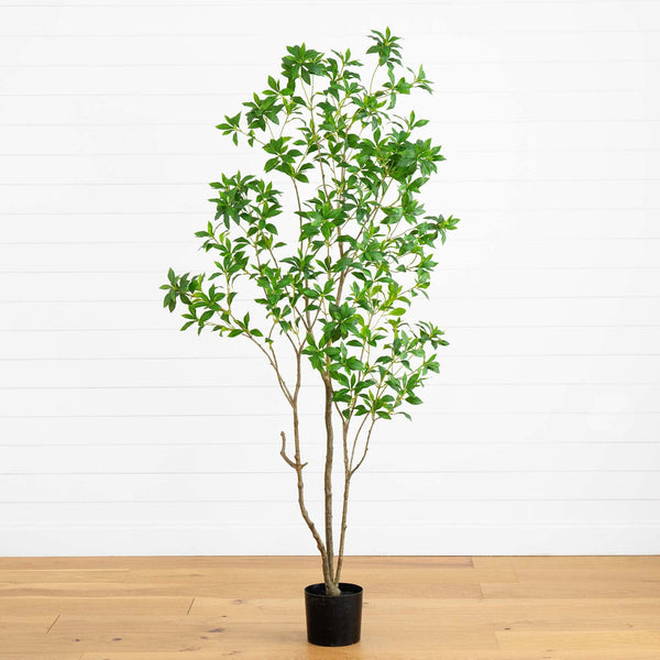 7’ Artificial Minimalist Japanese Pieris Tree with Real Touch Leaves