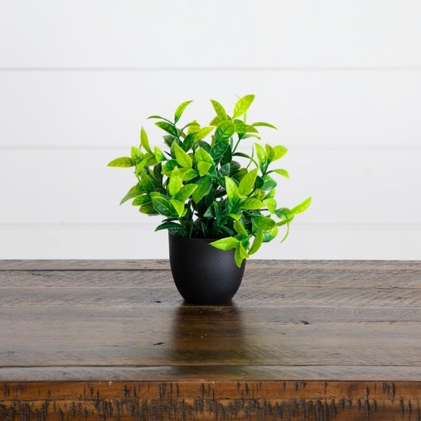 7” Artificial Mixed Botanical Plant in Black Square Pot - Set of 4
