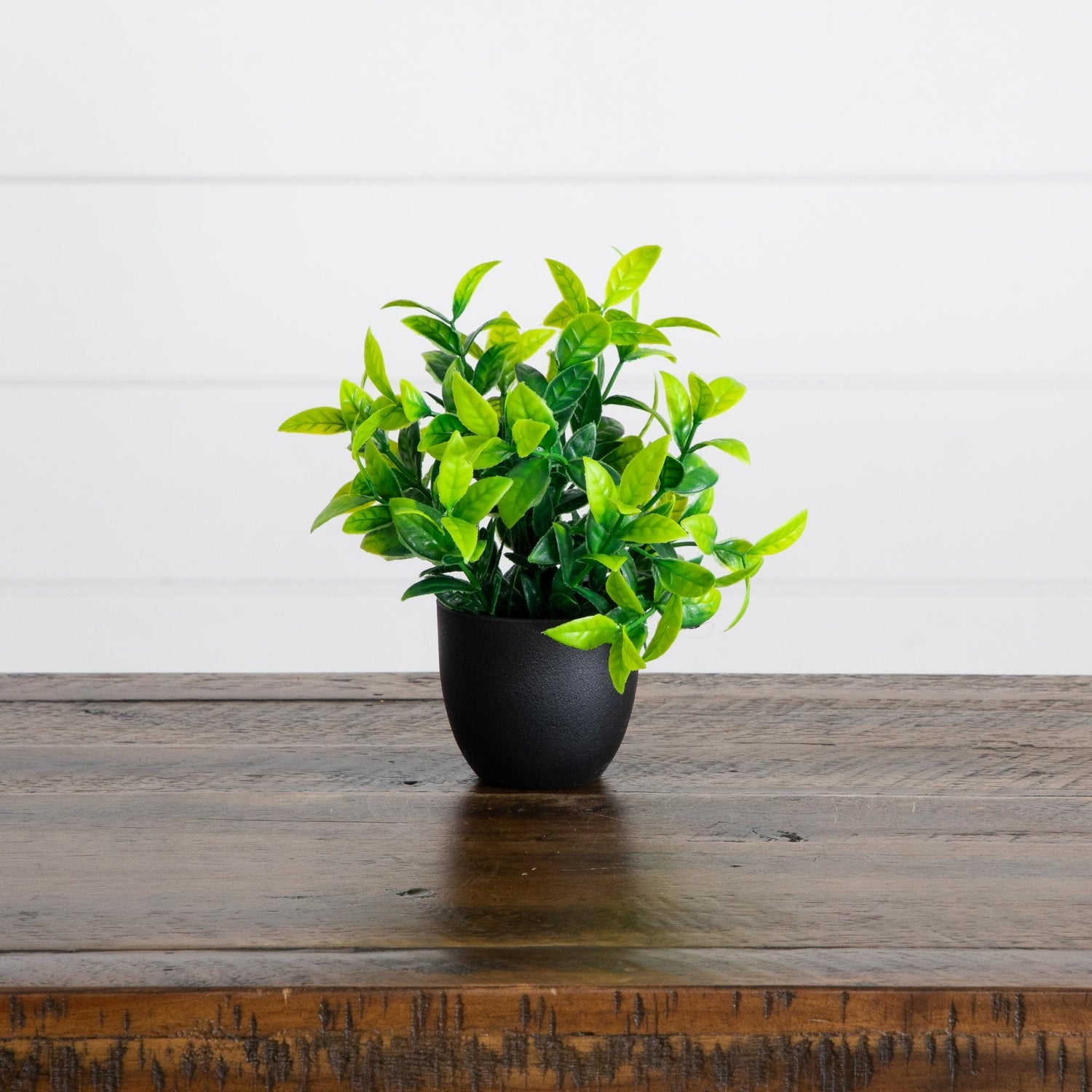 7” Artificial Mixed Botanical Plant in Black Square Pot - Set of 4