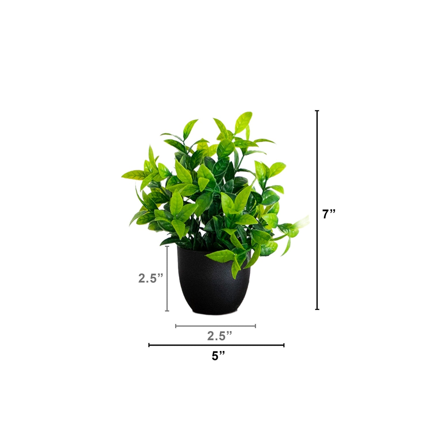 7” Artificial Mixed Botanical Plant in Black Square Pot - Set of 4