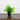 7” Artificial Mixed Botanical Plant in Black Square Pot - Set of 4