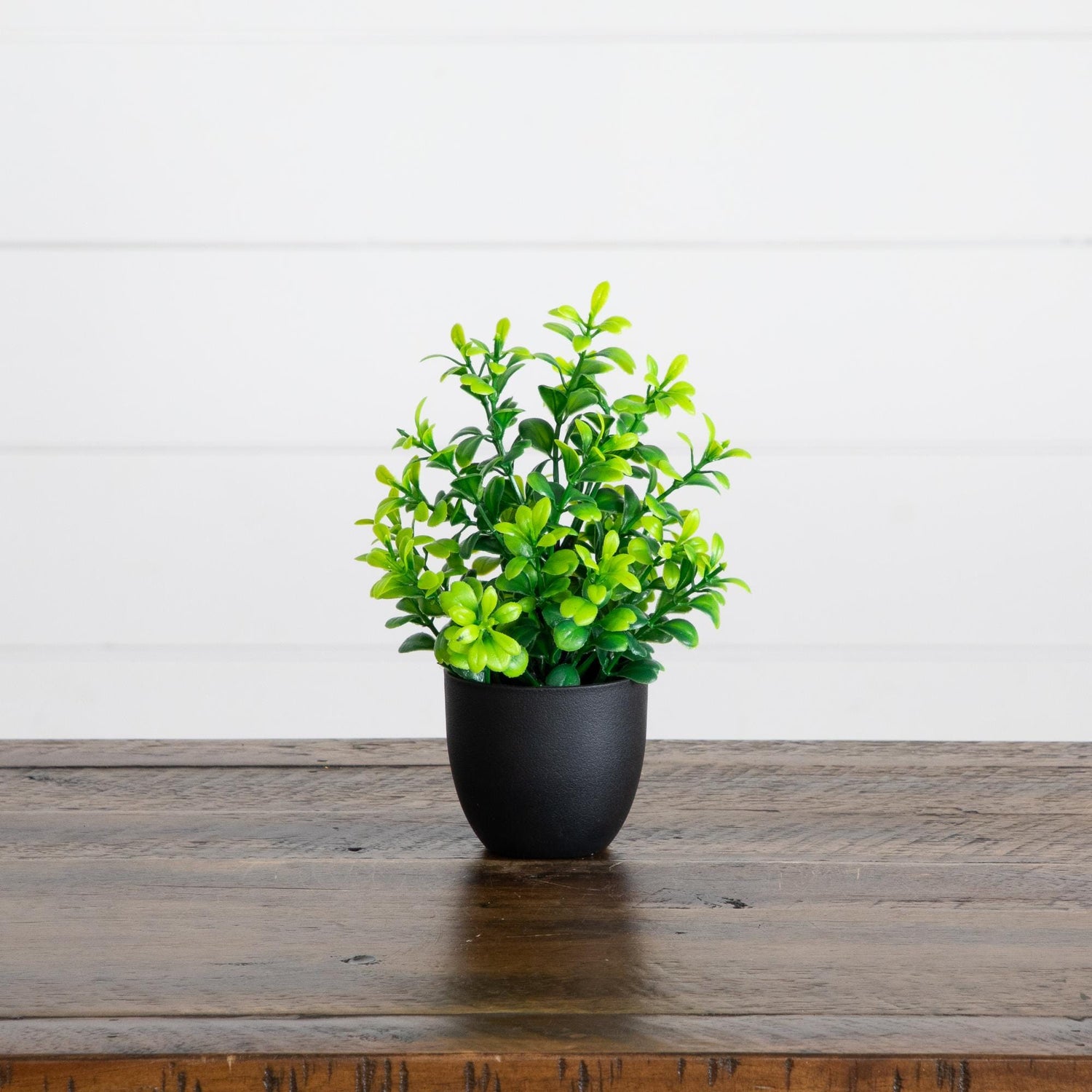 7” Artificial Mixed Botanical Plant in Black Square Pot - Set of 4