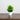 7” Artificial Mixed Evergreen Plant in White Round Pot - Set of 3