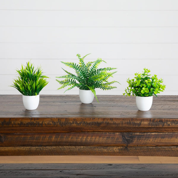 7” Artificial Mixed Evergreen Plant in White Round Pot - Set of 3