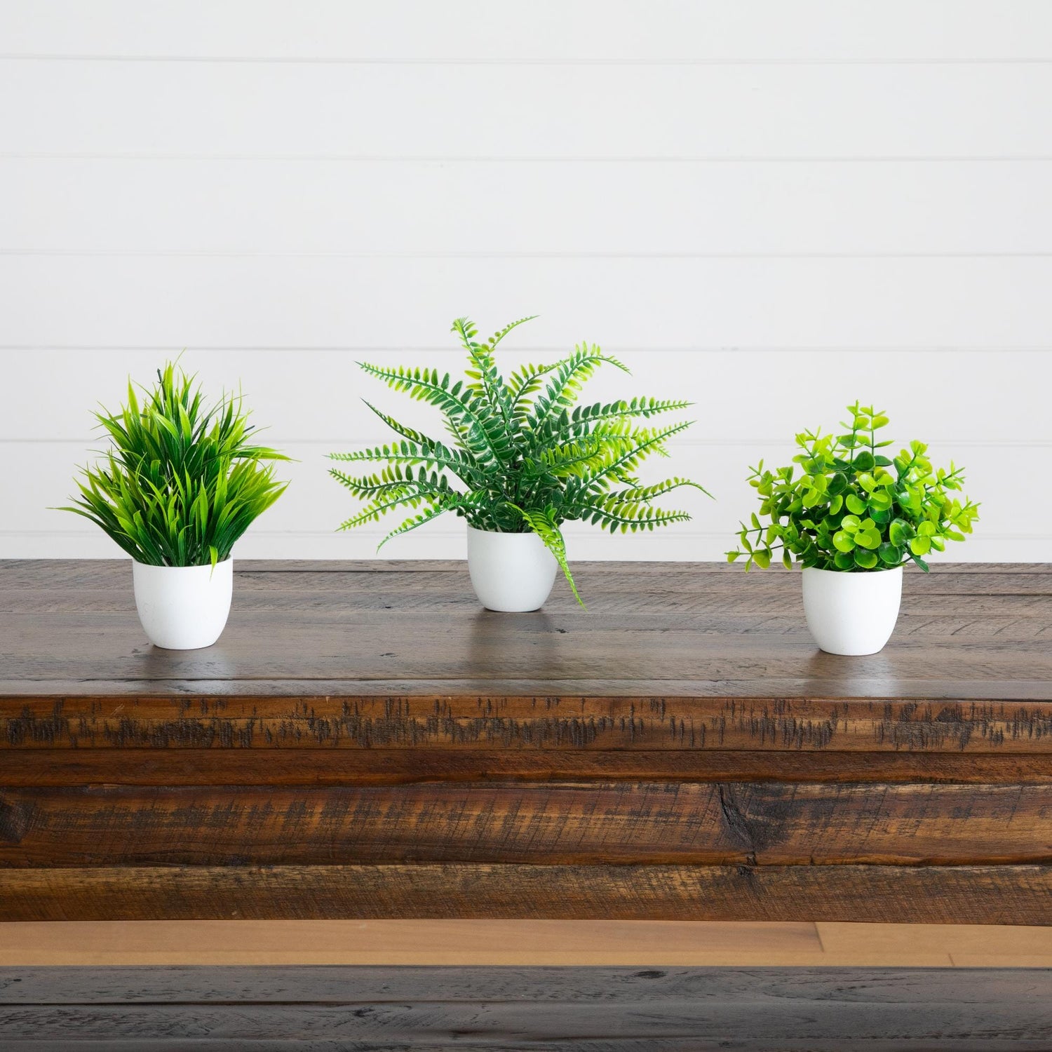 7” Artificial Mixed Evergreen Plant in White Round Pot - Set of 3