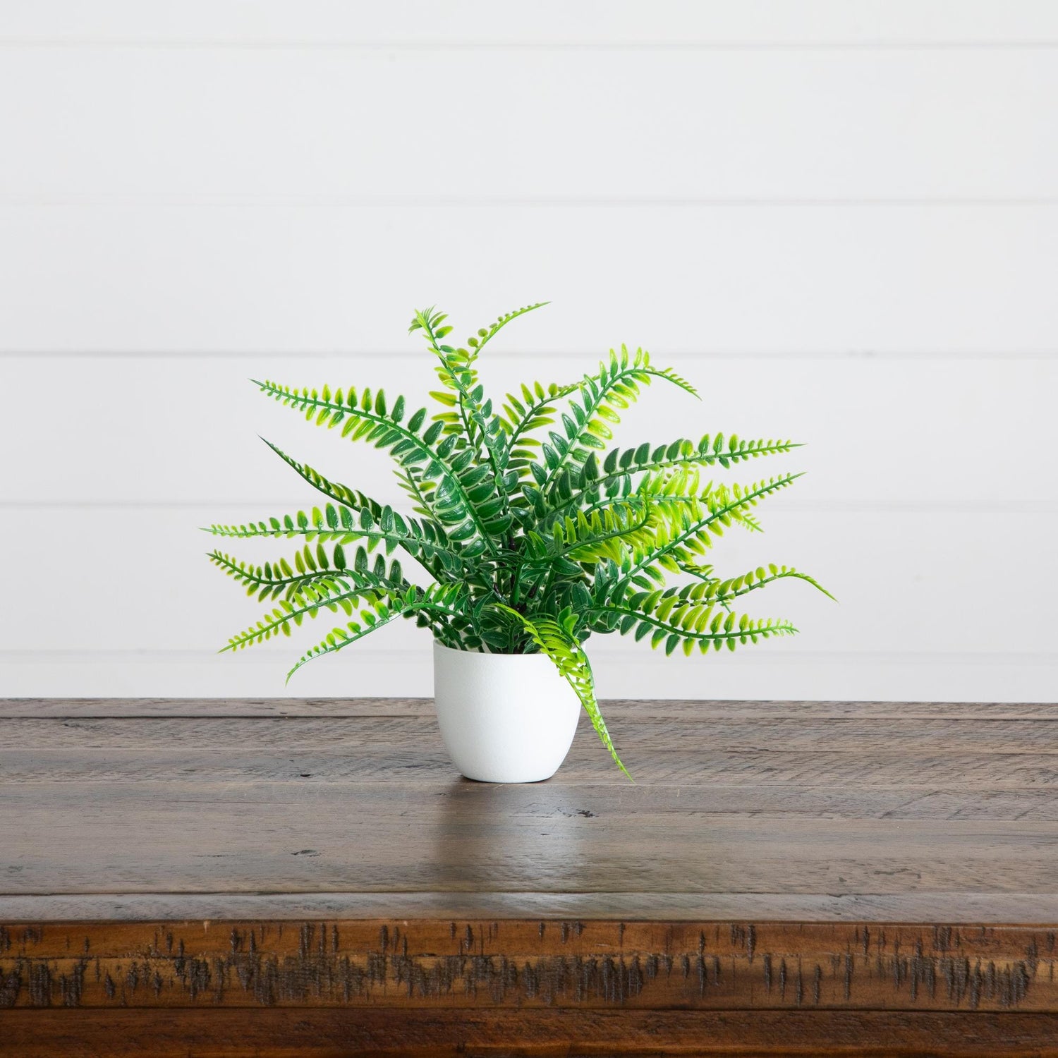 7” Artificial Mixed Evergreen Plant in White Round Pot - Set of 3