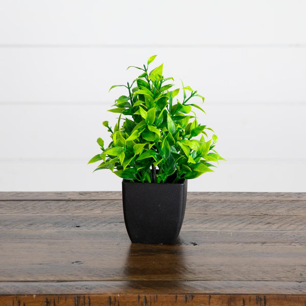 7” Artificial Mixed Topiary Plant in Black Square Pot - Set of 4