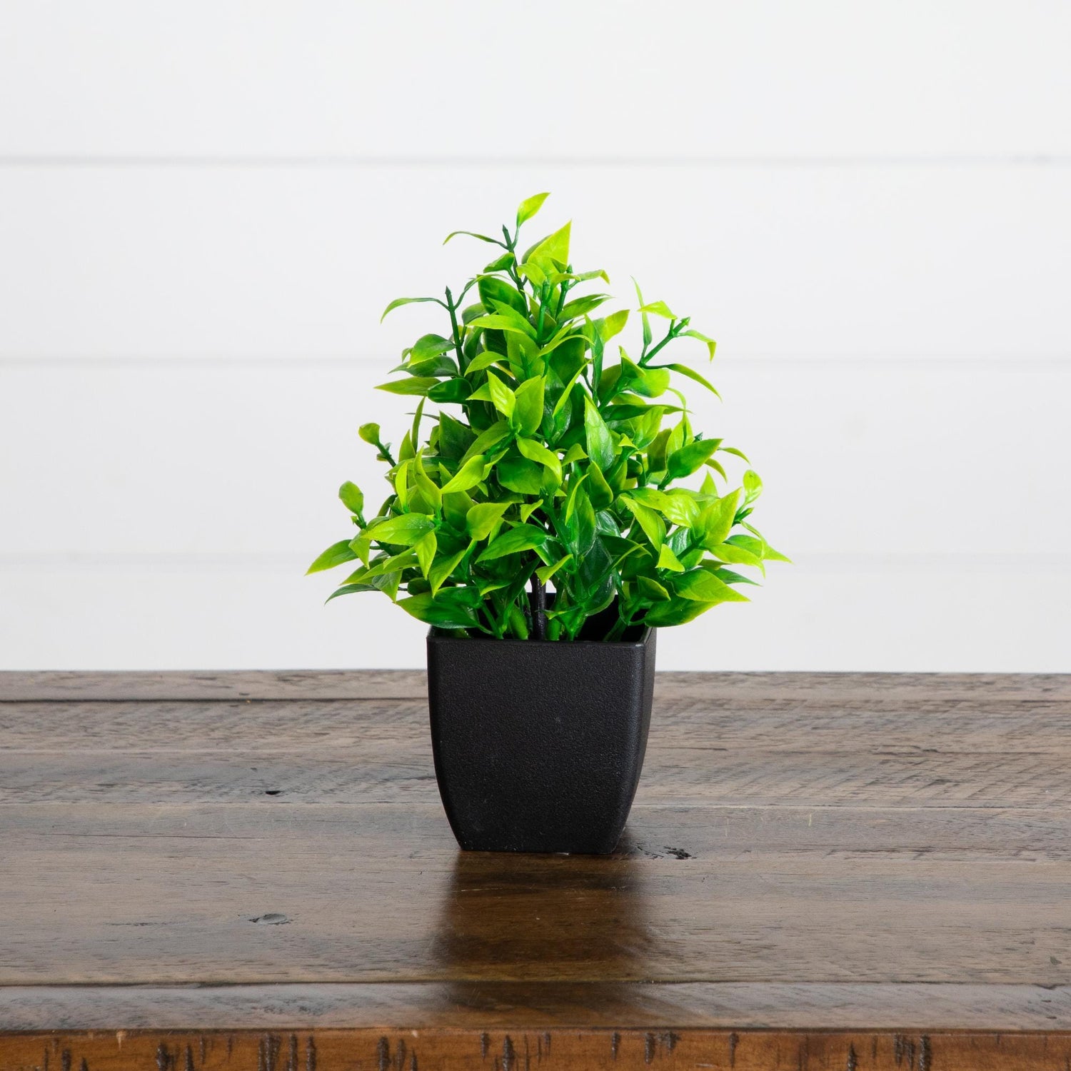 7” Artificial Mixed Topiary Plant in Black Square Pot - Set of 4