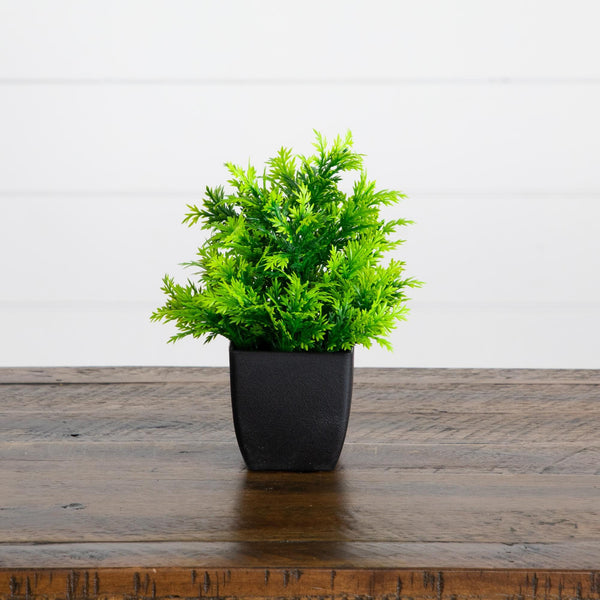 7” Artificial Mixed Topiary Plant in Black Square Pot - Set of 4