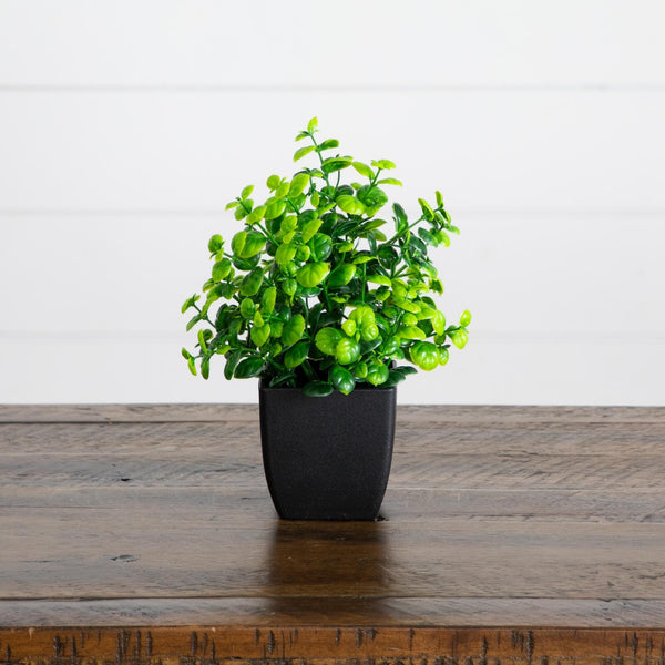 7” Artificial Mixed Topiary Plant in Black Square Pot - Set of 4