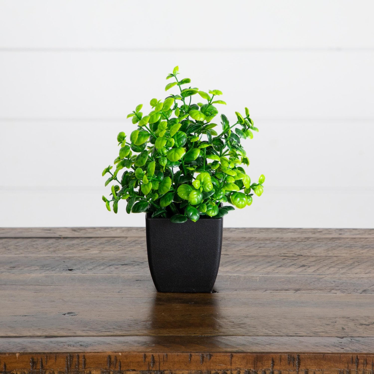 7” Artificial Mixed Topiary Plant in Black Square Pot - Set of 4