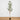 7' Artificial Olive Tree with Natural Trunk