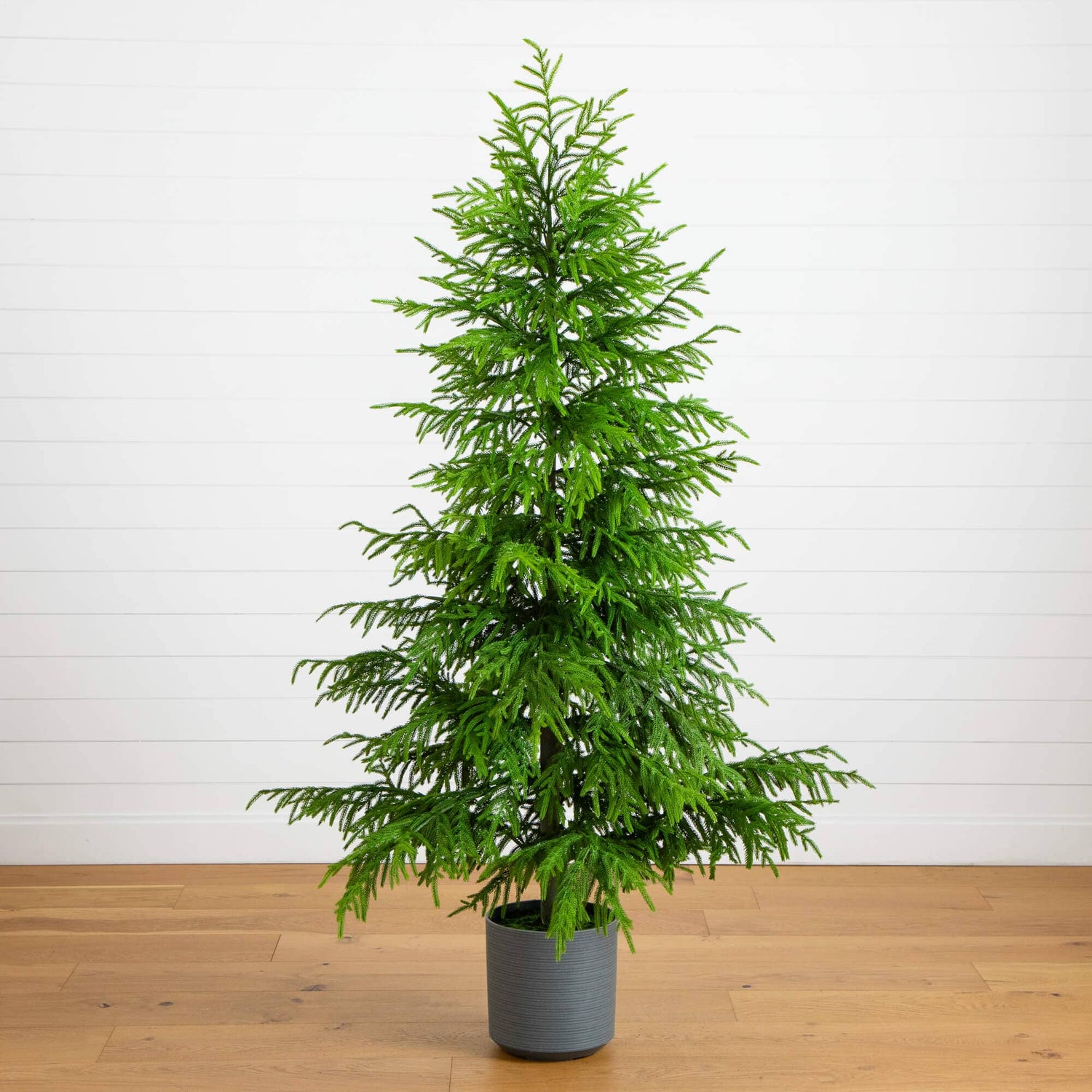 7' Artificial Real Touch Norfolk Island Pine Christmas Tree with Natural Look