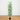 7' Artificial Shady Lady Black Olive Tree