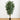 7' Biggy Style Bamboo Silk Tree