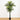 7’ Double Robellini Palm Tree UV Resistant (Indoor/Outdoor)