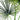 7’ Fan Palm Tree UV Resistant (Indoor/Outdoor)
