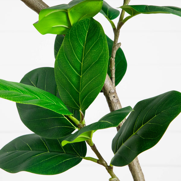7' Artificial Curved Trunk Audrey Ficus Tree