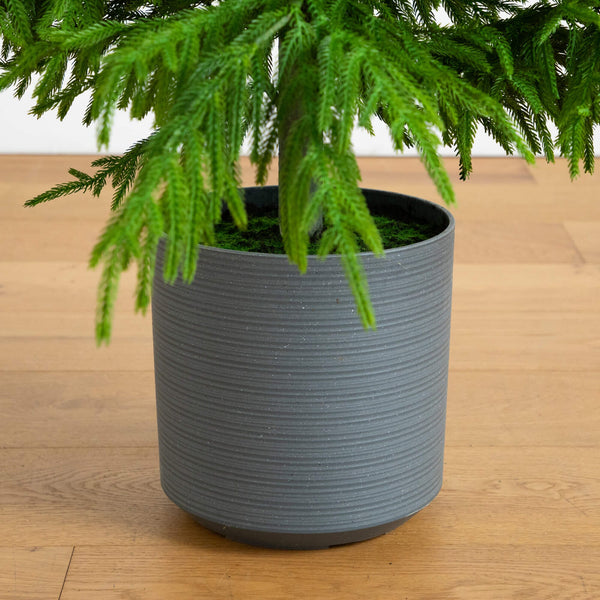 7' Artificial Real Touch Norfolk Island Pine Christmas Tree with Natural Look