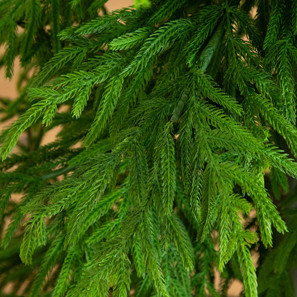 7' Artificial Real Touch Norfolk Island Pine Christmas Tree with Natural Look