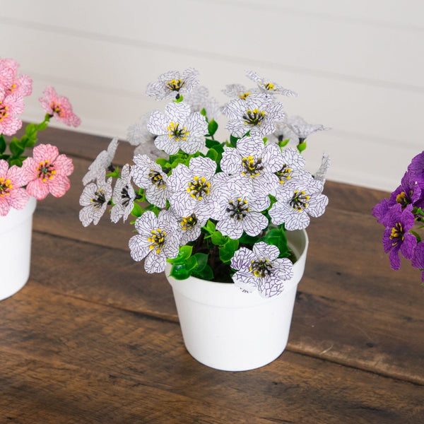 7” Mini Daisy Arrangement in Decorative Pot -Set of 3