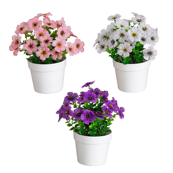 7” Mini Daisy Arrangement in Decorative Pot -Set of 3