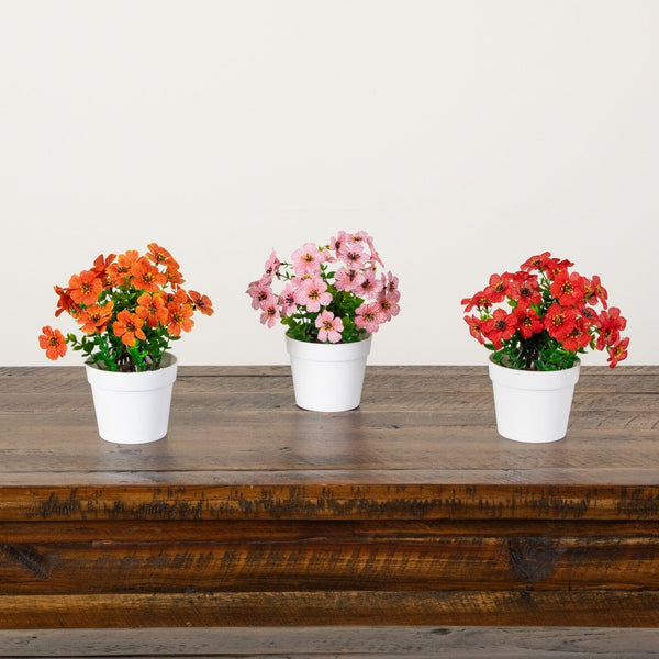 7” Mini Daisy Arrangement in Decorative Pot -Set of 3