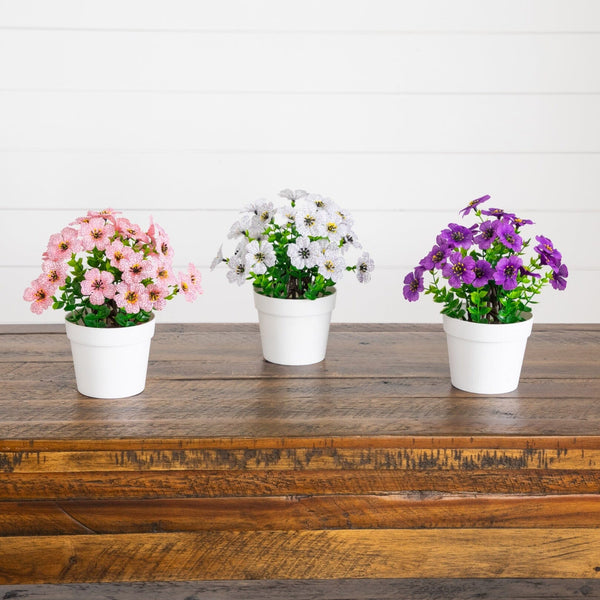 7” Mini Daisy Arrangement in Decorative Pot -Set of 3