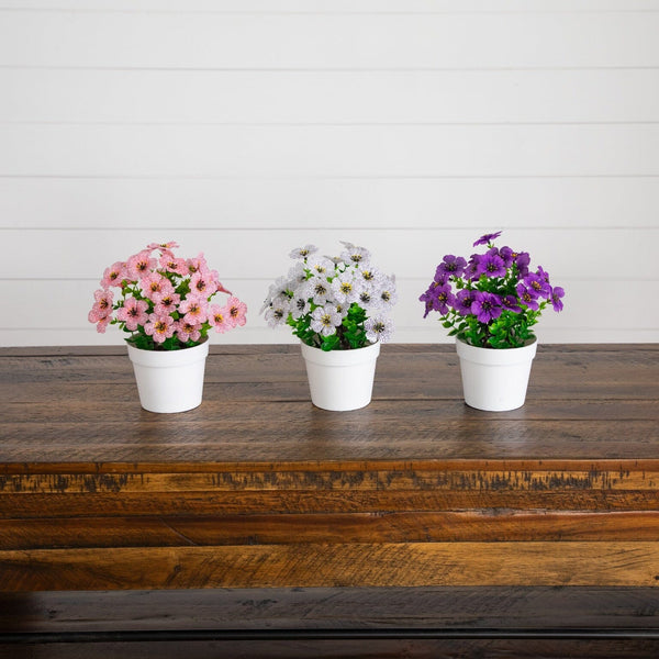 7” Mini Daisy Arrangement in Decorative Pot -Set of 3